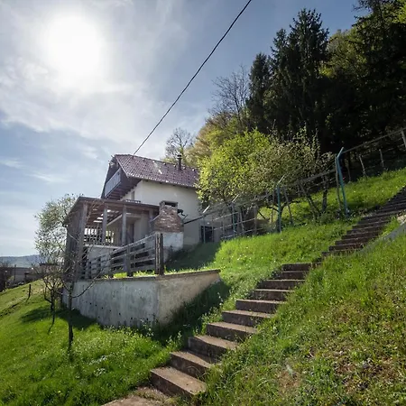 Zidanica Krstinc Tatil Evi *