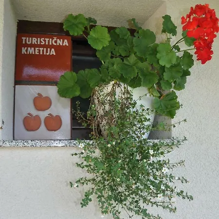 Zidanica Krstinc * Straza