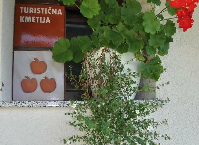 Zidanica Krstinc * Straza